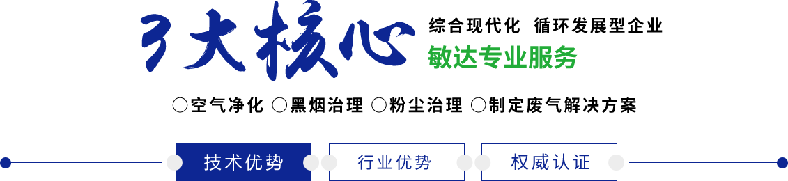 操中国女人视频网站敏达环保科技（嘉兴）有限公司